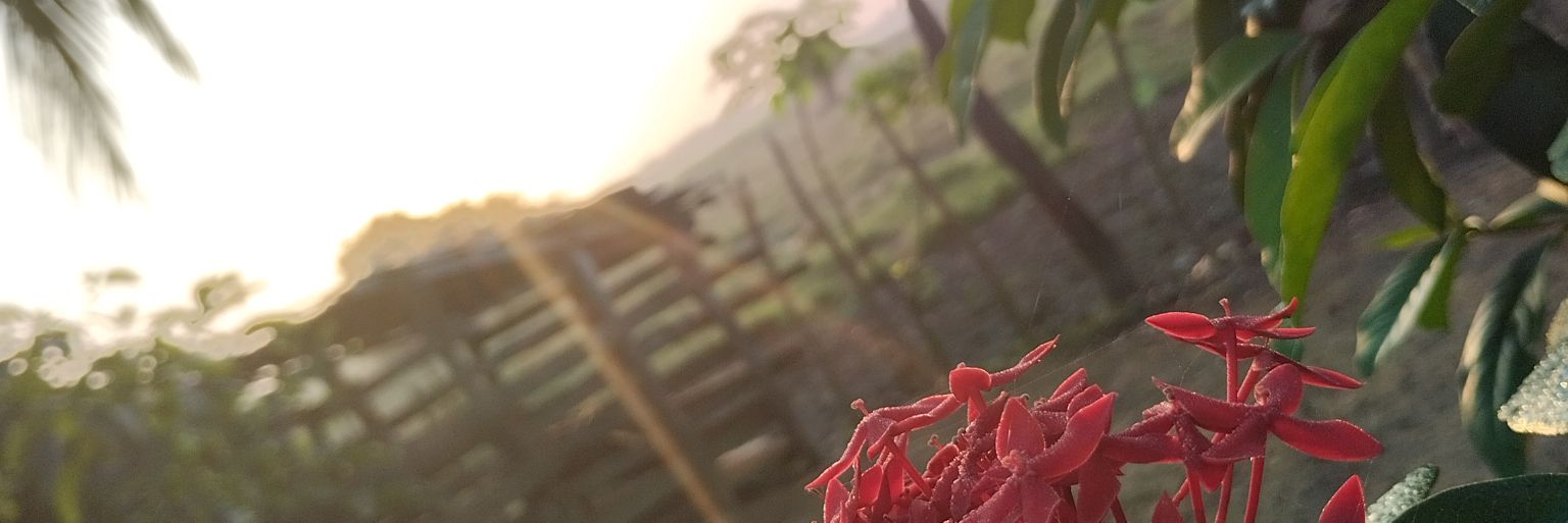 leidis_vgs's profile banner image