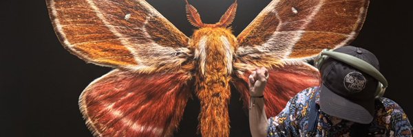 buttootking Profile Banner
