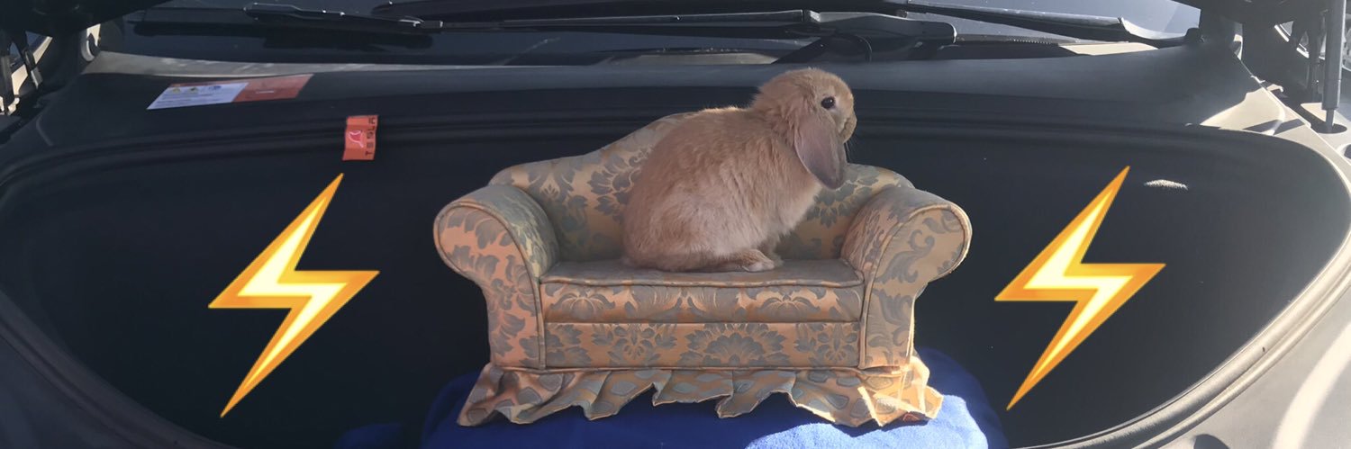 ElectricBun's profile banner image