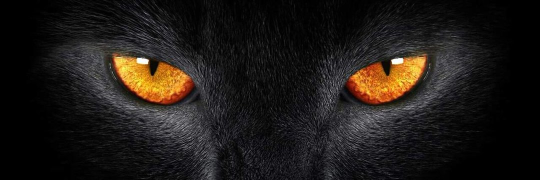 Mkter5566's profile banner image