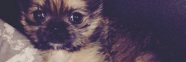 _emmford_'s profile banner image