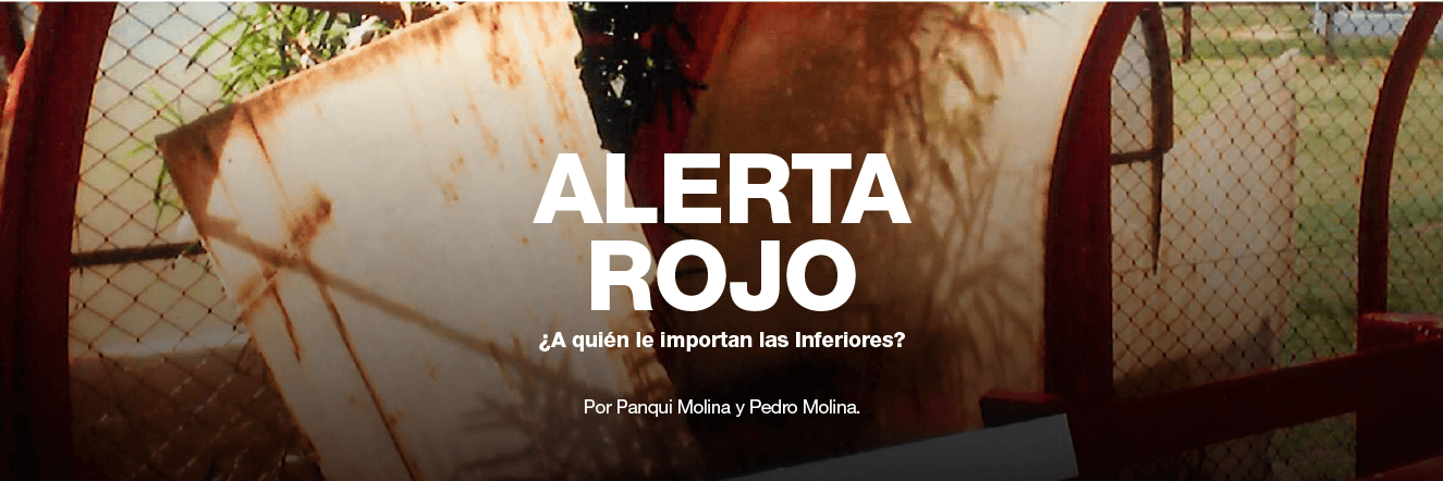 Libro Alerta Rojo banner