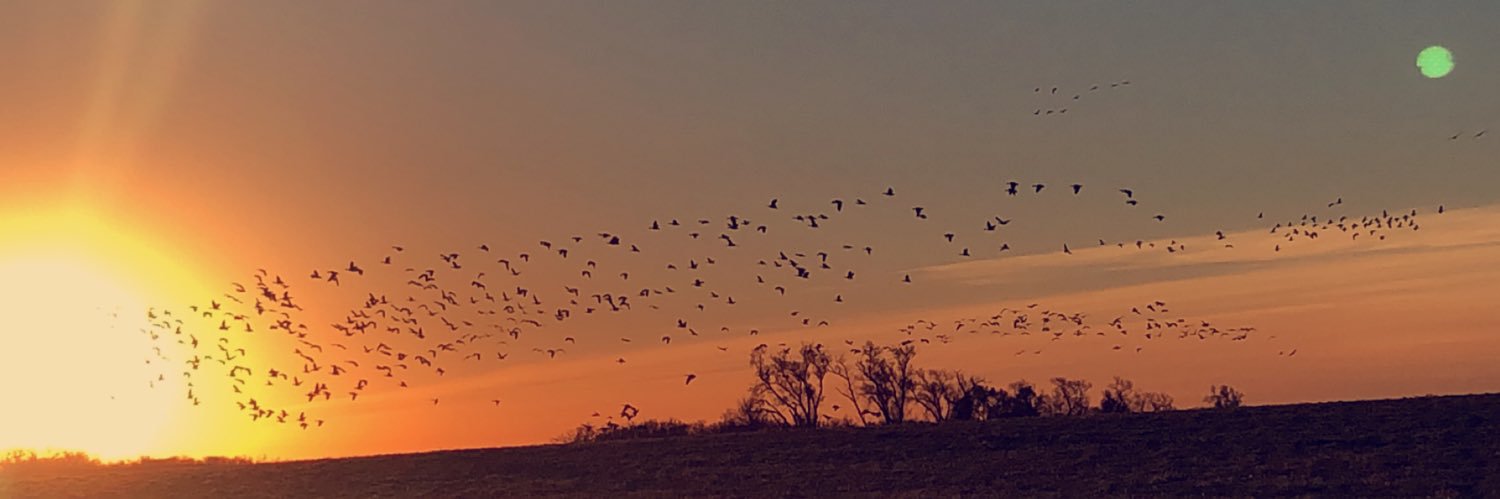 keytenkidd's profile banner image