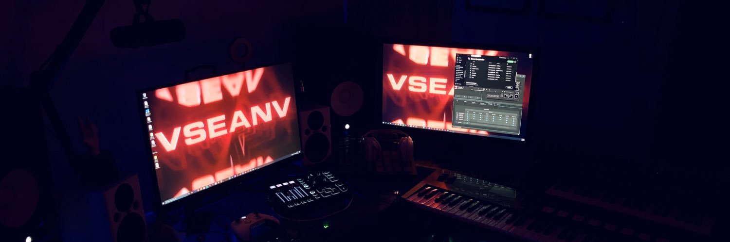 vseanv banner