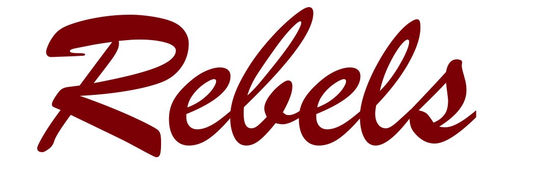 Pineville Runnin' Rebel Basketball's banner