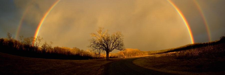 krueger_am's profile banner image