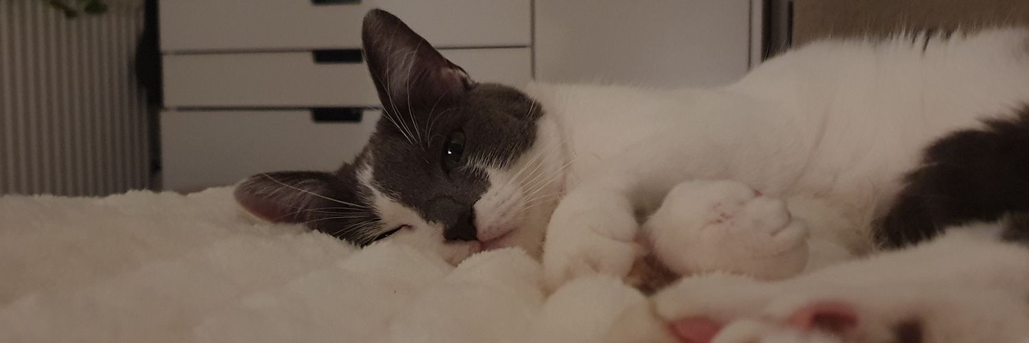 RomaneMalikP's profile banner image