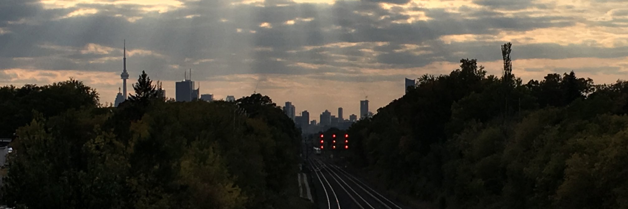 Sarah Buchanan banner