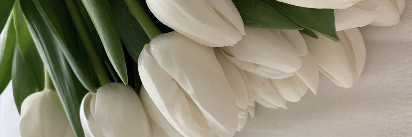 _burakova_'s profile banner image