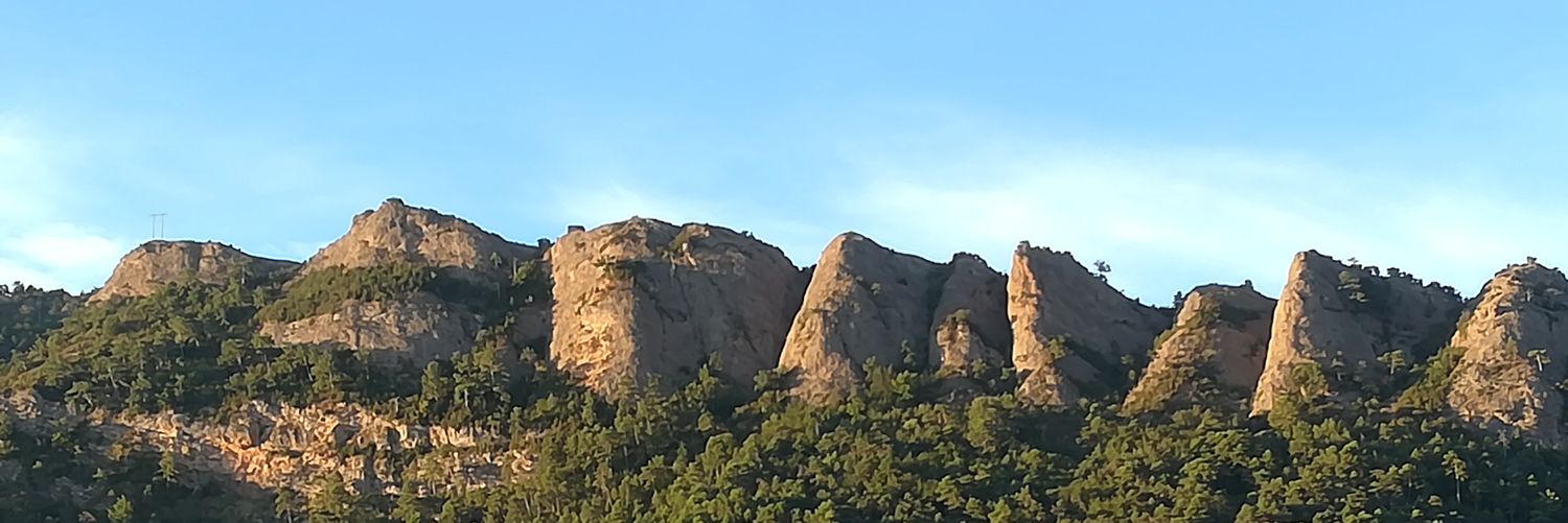 Vincentgaldea's profile banner image