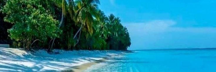 Abu_Mohaammed's profile banner image