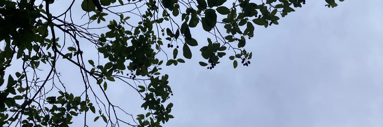 jackson21041's profile banner image