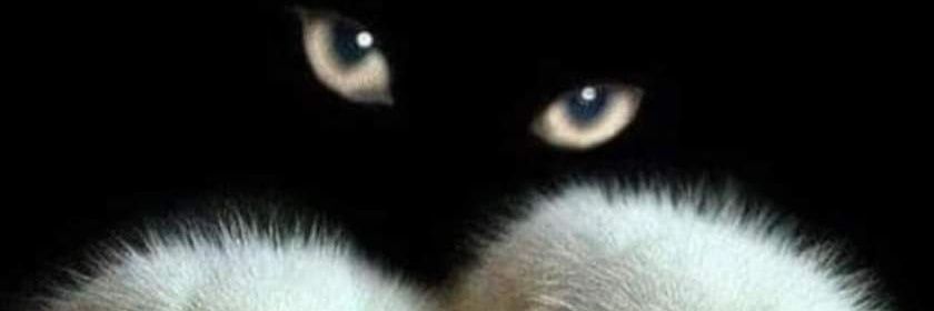 brggtrs's profile banner image