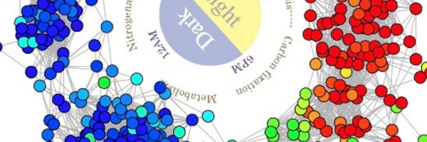 BioDataGanache Profile Banner
