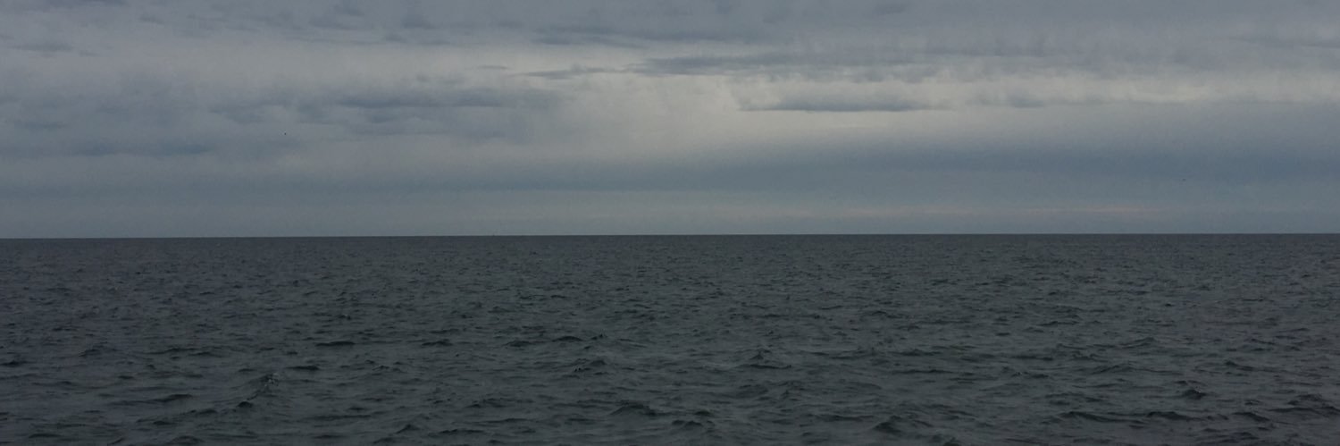 vampgelique's profile banner image