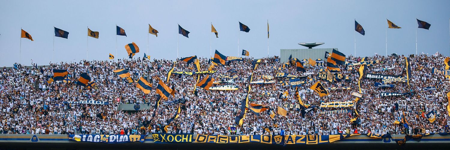 Delkub banner