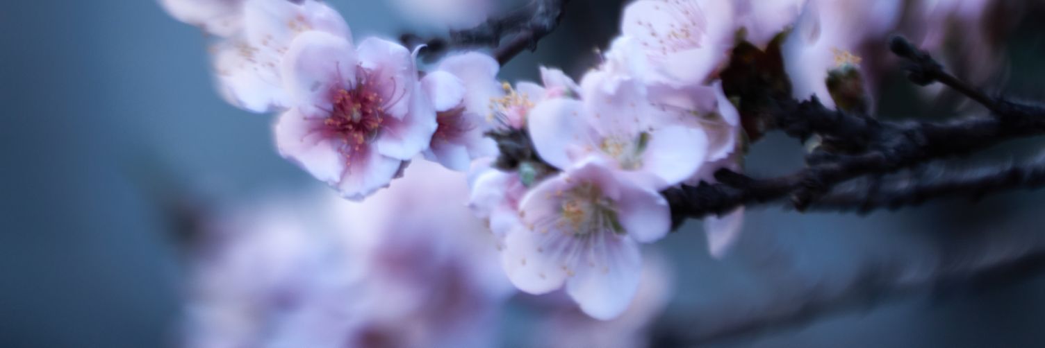 LV_88's profile banner image