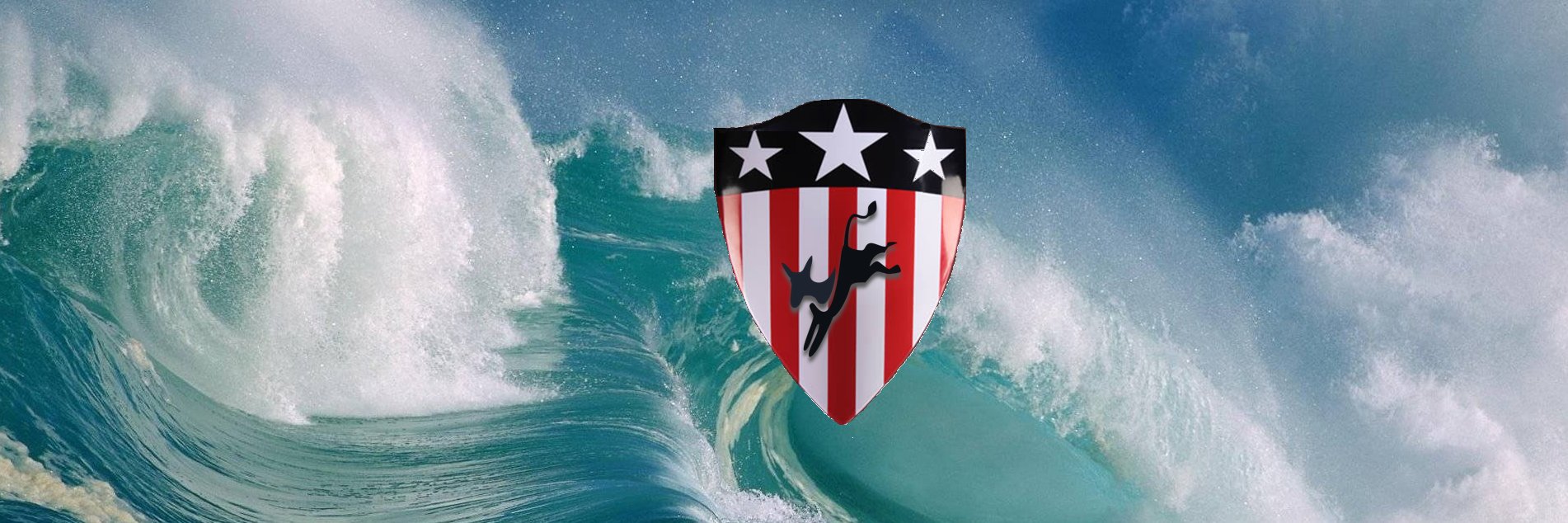 Shield of Democracy banner