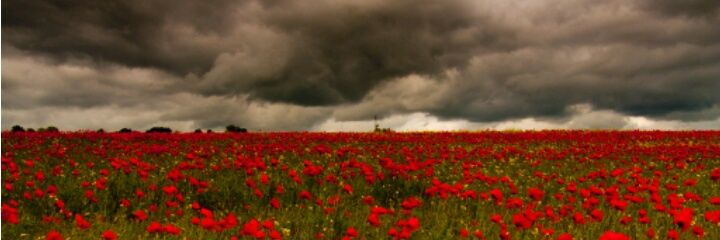 ســــعد 💚💚 banner