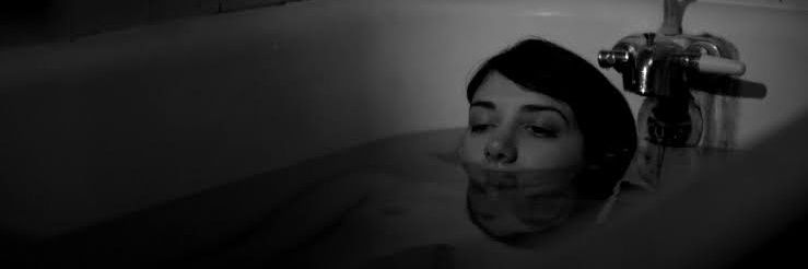 El mapache anarquista banner