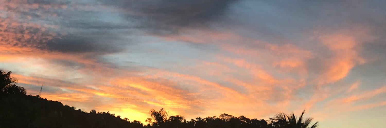 Bravim's profile banner image