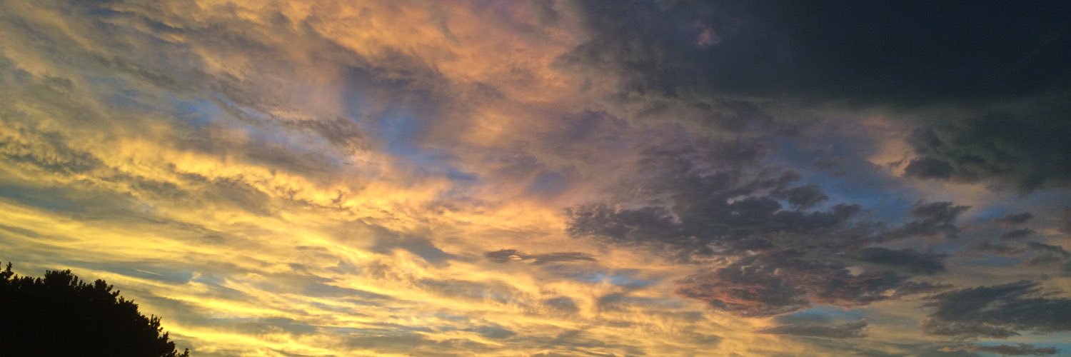 ryo_oy's profile banner image