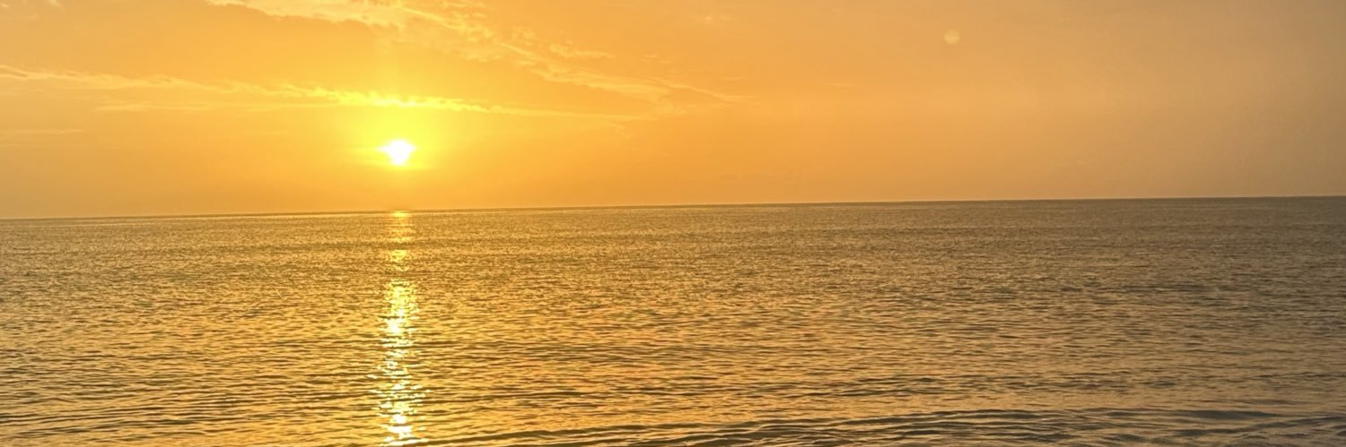 paigewatsonn's profile banner image