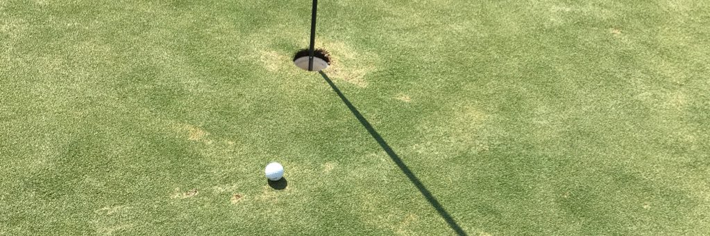 locogolf's profile banner image