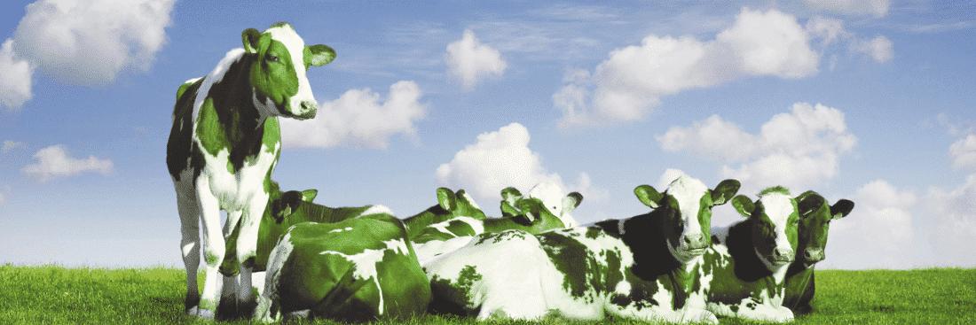 Ⓐ ⒼⓇⒺⒺⓃ ⒸⓄⓌ banner