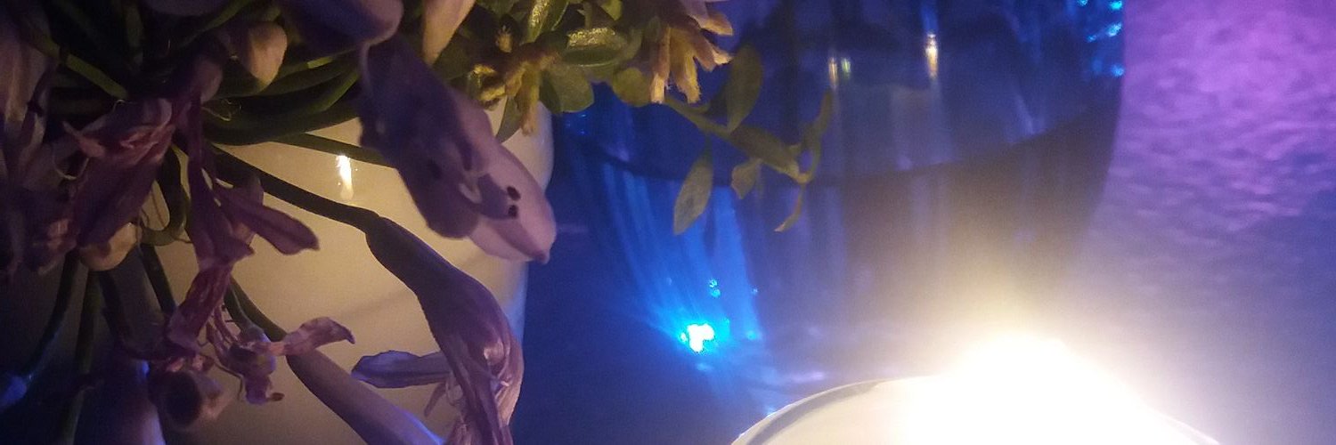 NHASH's profile banner image