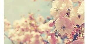 hollycoren's profile banner image