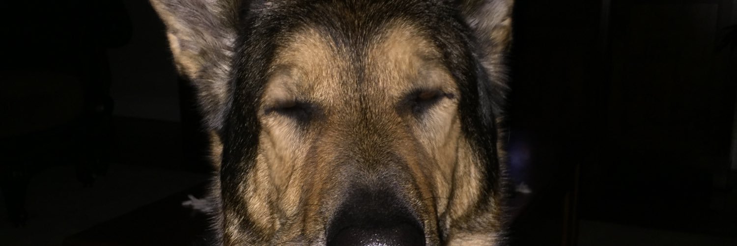 thefakealibi's profile banner image