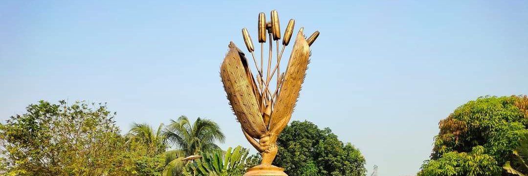 Bangladesh Rice Research Institute(BRRI) banner