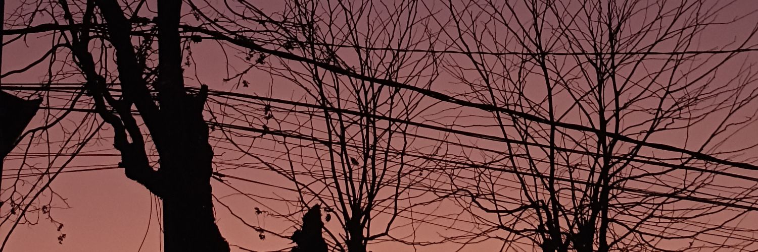 Leandro Alvarez banner