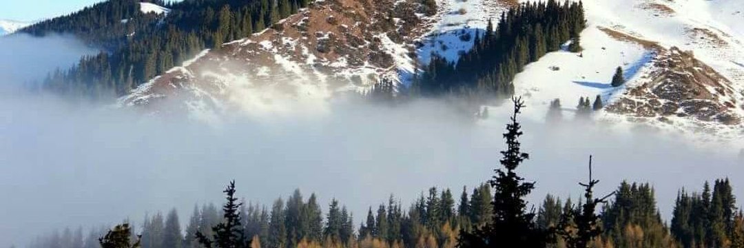 Касым Рахманкул banner