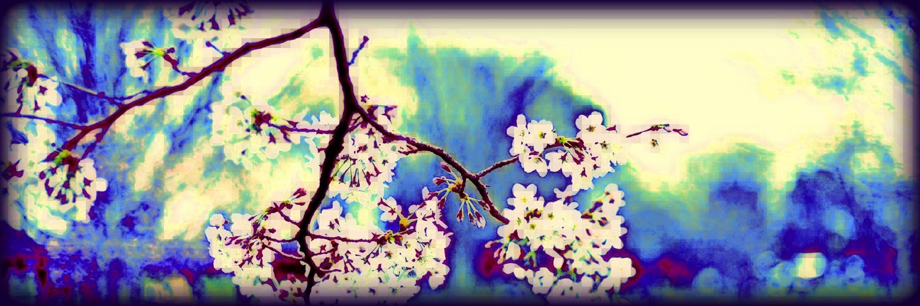 PiamedeaDigital's profile banner image