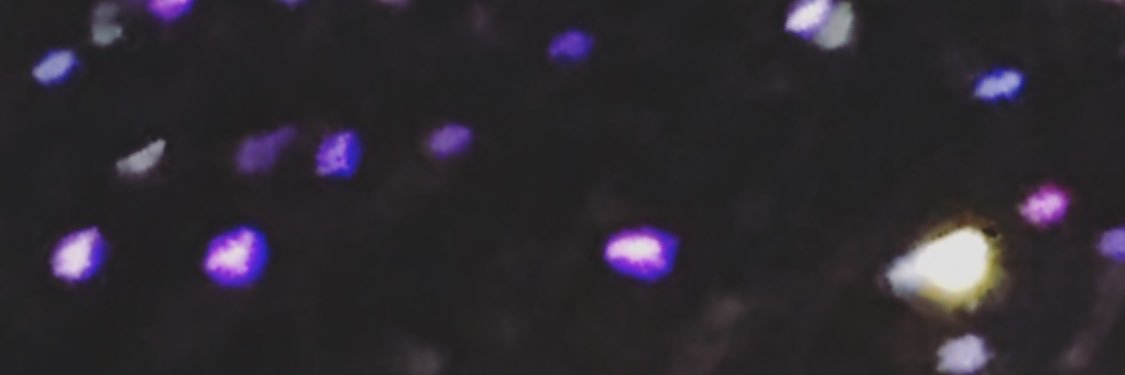 mell banner