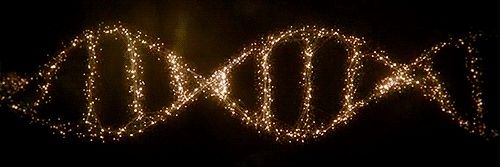 Margo banner