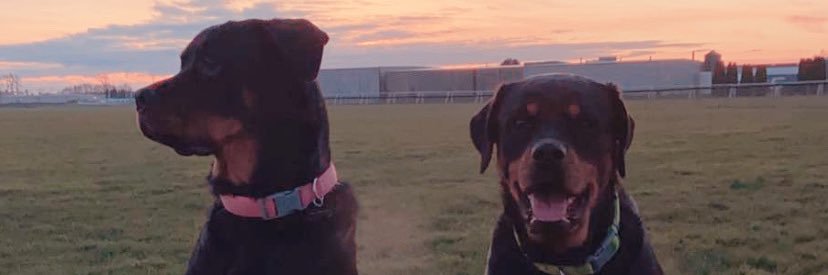 tisaacson23's profile banner image
