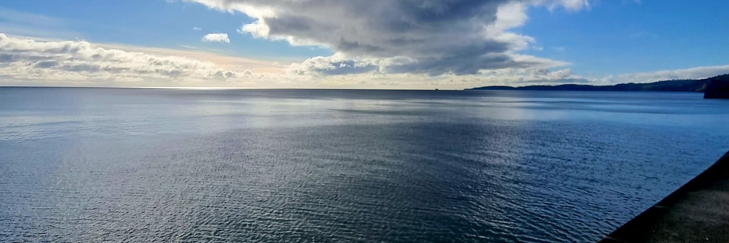 MC Dev 🇪🇺 🇺🇦 🇬🇧#FBPE banner