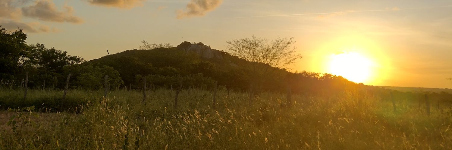 VikCarterMahone's profile banner image