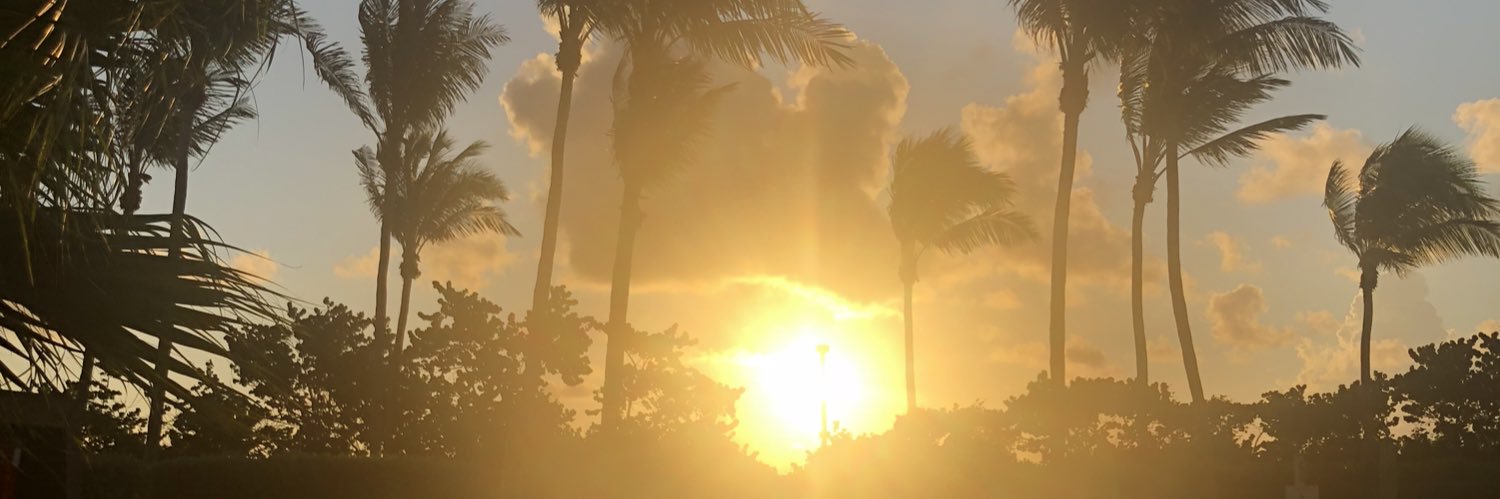 rednaee's profile banner image