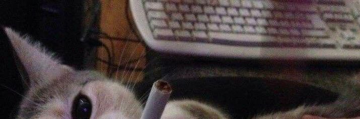 q banner