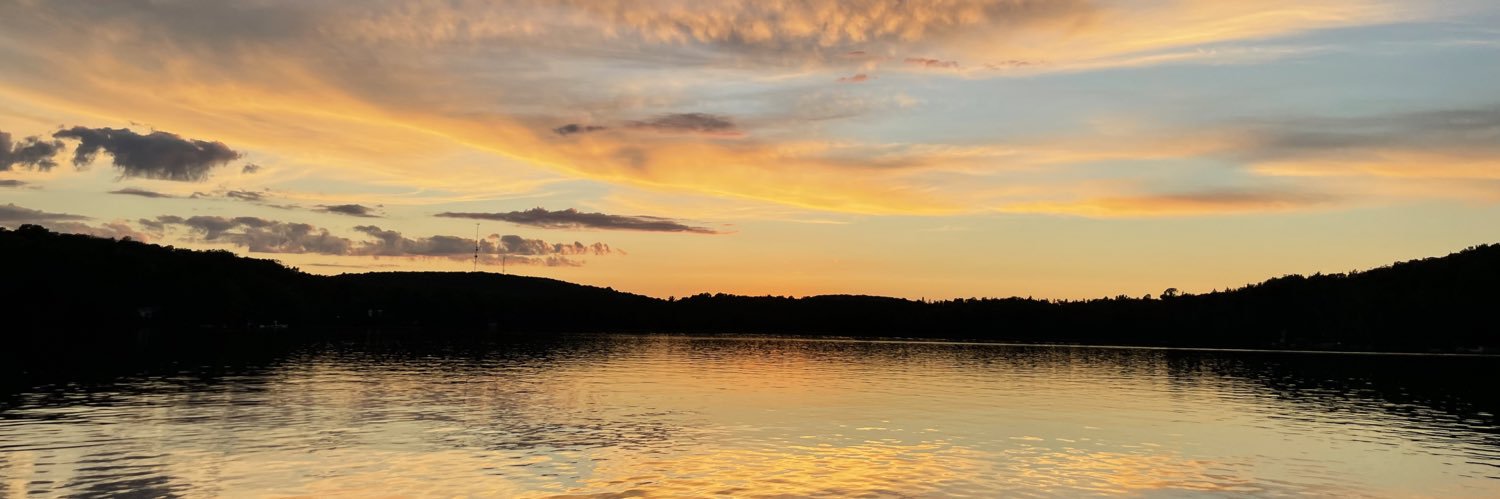 Deb Walker banner