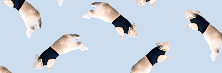 xiaochienlim's profile banner image
