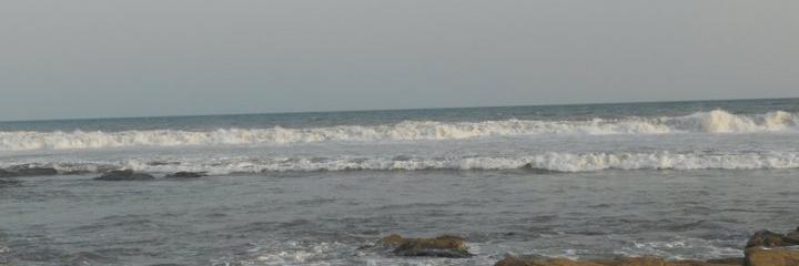 WholeName 6Syllables (she/they) banner