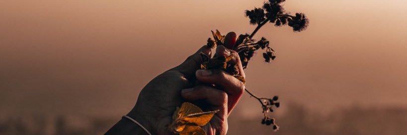 dieeeggoooo's profile banner image