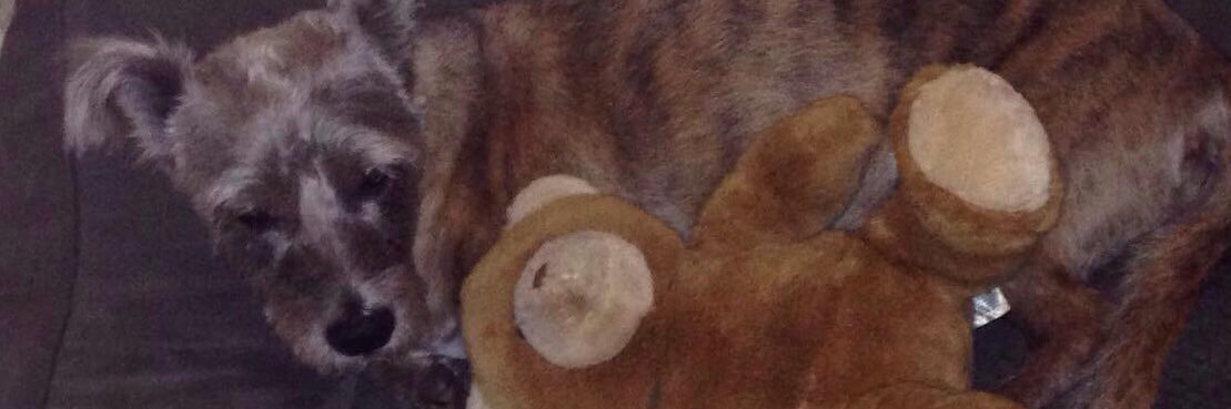NicknamedCrazy's profile banner image