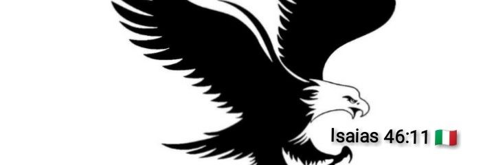 CyTerada's profile banner image