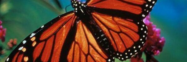 LHSBiol Profile Banner